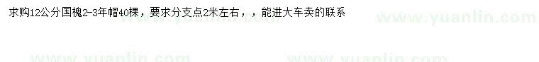 求購12公分國槐