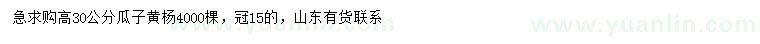 求購高30公分瓜子黃楊