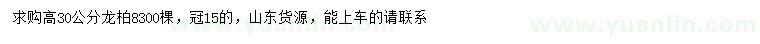 求購高30公分龍柏
