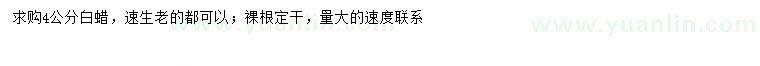 求購4公分白蠟
