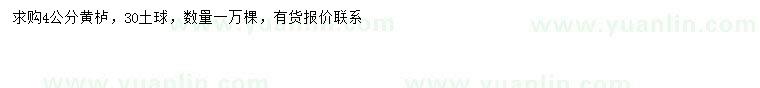 求購4公分黃櫨