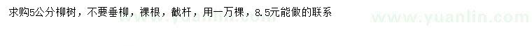 求購5公分柳樹