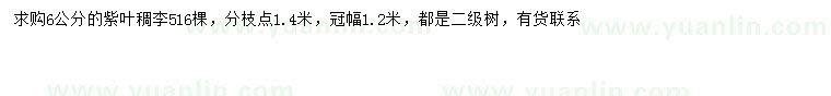求購6公分紫葉稠李