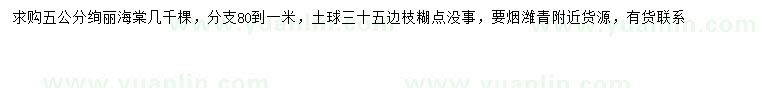 求購(gòu)5公分絢麗海棠