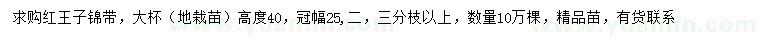 求購(gòu)高40公分紅王子錦帶