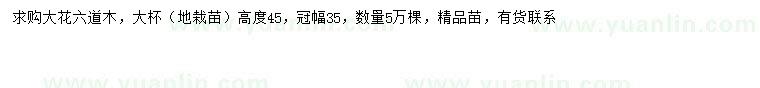 求購高45公分大花六道木
