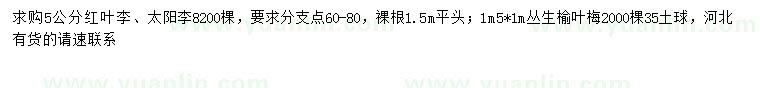 求購紅葉李、太陽李、叢生榆葉梅