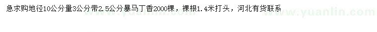 求購(gòu)10量2.5、3公分暴馬丁香