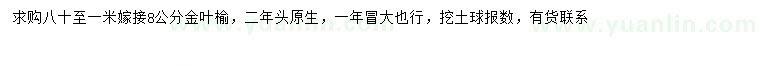 求購8公分金葉榆