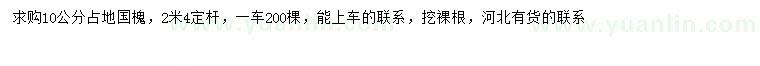 求購10公分國槐