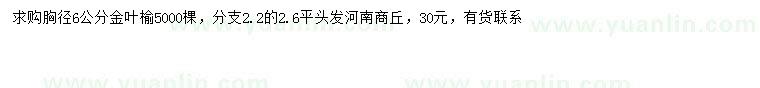 求購胸徑6公分金葉榆