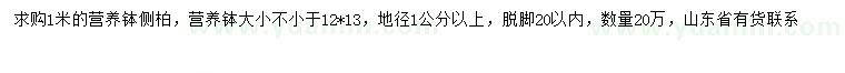 求購1米側柏