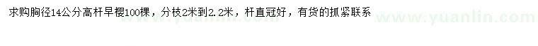 求購胸徑14公分高桿早櫻