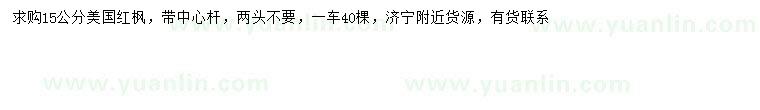 求購15公分美國紅楓