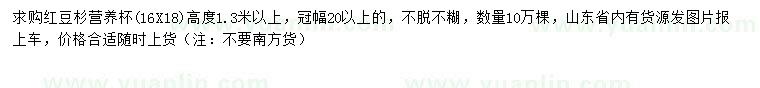 求購高1.3米以上紅豆杉