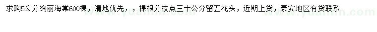 求購5公分絢麗海棠