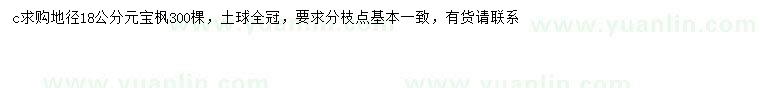 求購地徑18公分元寶楓