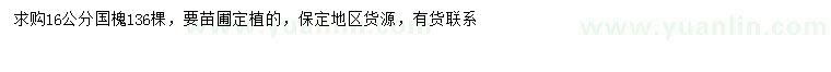 求購16公分國槐