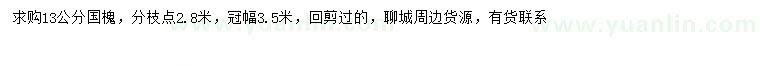 求購(gòu)13公分國(guó)槐