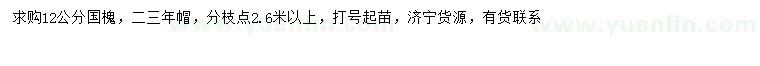 求購(gòu)12公分國(guó)槐