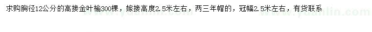 求購胸徑12公分高接金葉榆