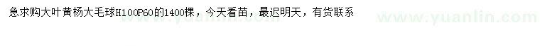 求購(gòu)冠幅60公分大葉黃楊球