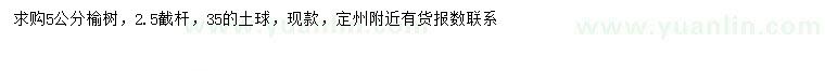 求購5公分榆樹