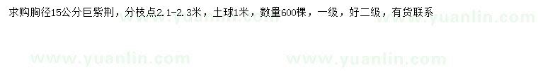 求購胸徑15公分巨紫荊