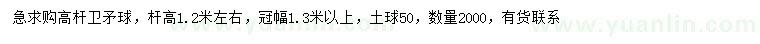 求購(gòu)冠幅1.3米以上高桿衛(wèi)矛球