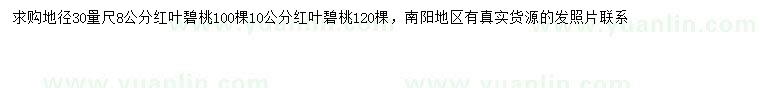 求購30量8、10公分紅葉碧桃