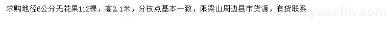求購地徑6公分無花果