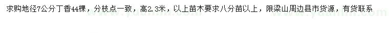 求購地徑7公分丁香