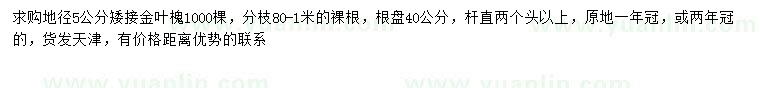 求購地徑5公分金葉槐