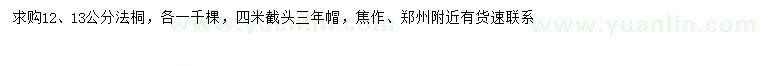 求購12、13公分法桐