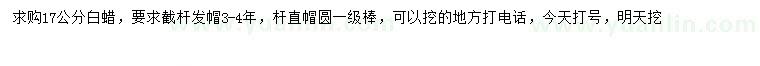 求購(gòu)17公分白蠟