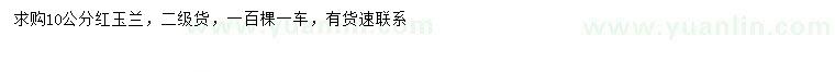 求購10公分紅玉蘭