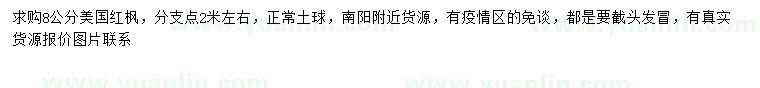 求購8公分美國紅楓