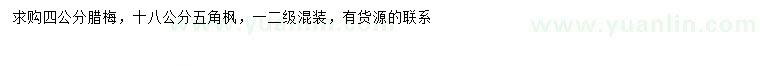 求購(gòu)4公分臘梅、18公分五角楓