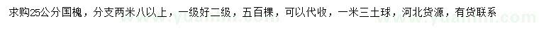 求購25公分國槐