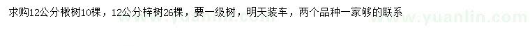 求購12公分楸樹、梓樹