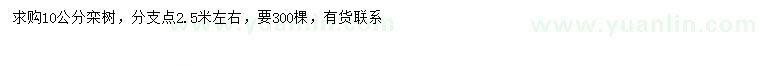 求購10公分欒樹
