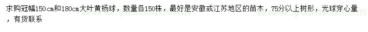 求購冠幅150、180公分大葉黃楊球