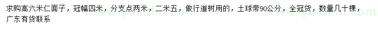 求購高6米仁面子