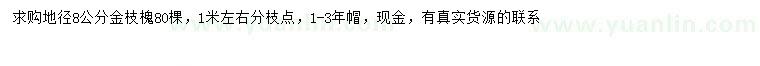 求購(gòu)地徑8公分金枝槐