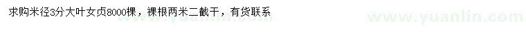 求購米徑3分大葉女貞