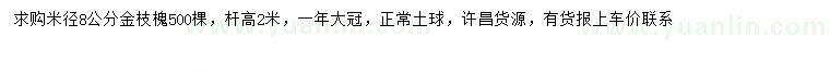 求購米徑8公分金枝槐