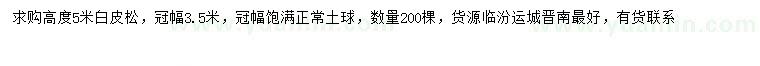 求購高5米白皮松
