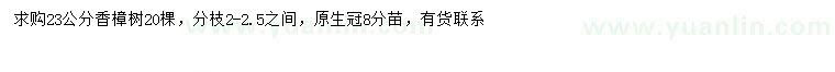 求購23公分香樟
