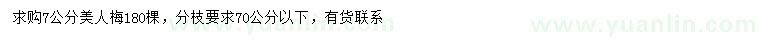求購7公分美人梅