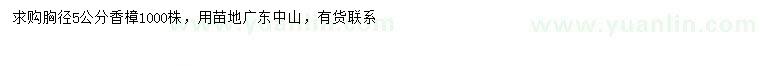 求購胸徑5公分香樟